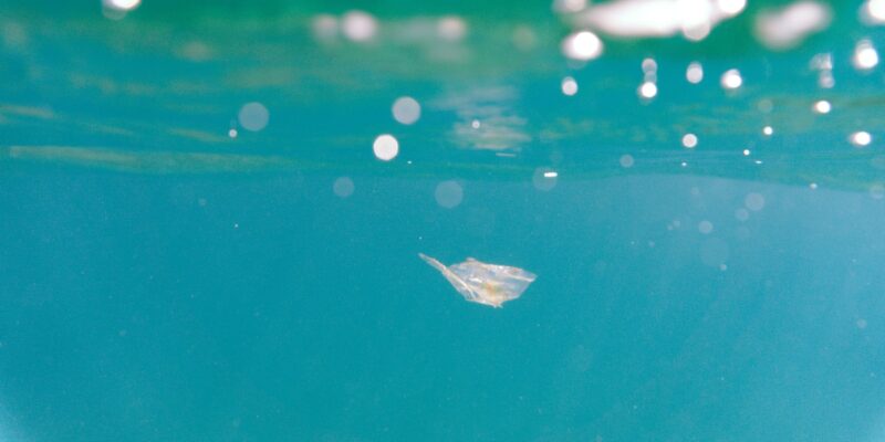 Ein kleines Stück Plastik schwimmt im Wasser und wird sich mit der Zeit zu Mikroplastik zersetzen. Unter Umständen kann Mikroplastik auch ins Trinkwasser gelangen