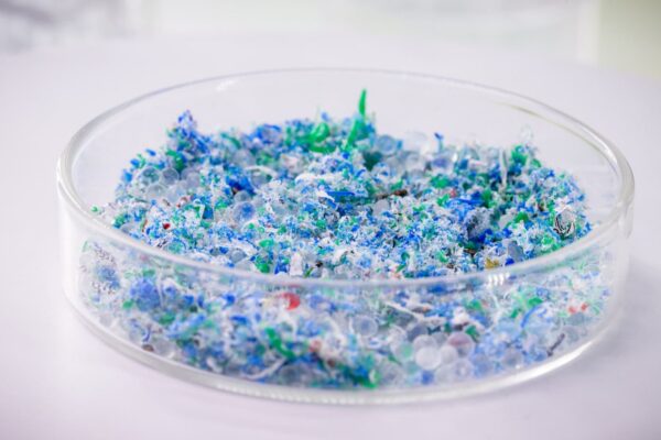 Ein Schälchen in dem viele kleine blaue Mikroplastikteilchen liegen. Mikroplastik sind Partikel, die unter 5 mm groß sind