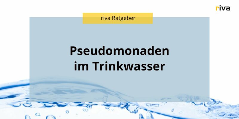 Das Bild zeigt eine Grafik mit dem Titel "Pseudomonaden im Trinkwasser" in schwarzem Text auf einem hellblauen Hintergrund. Oben links ist ein gelbes Banner mit der Aufschrift "riva Ratgeber" zu sehen, und das riva-Logo befindet sich in der oberen rechten Ecke.